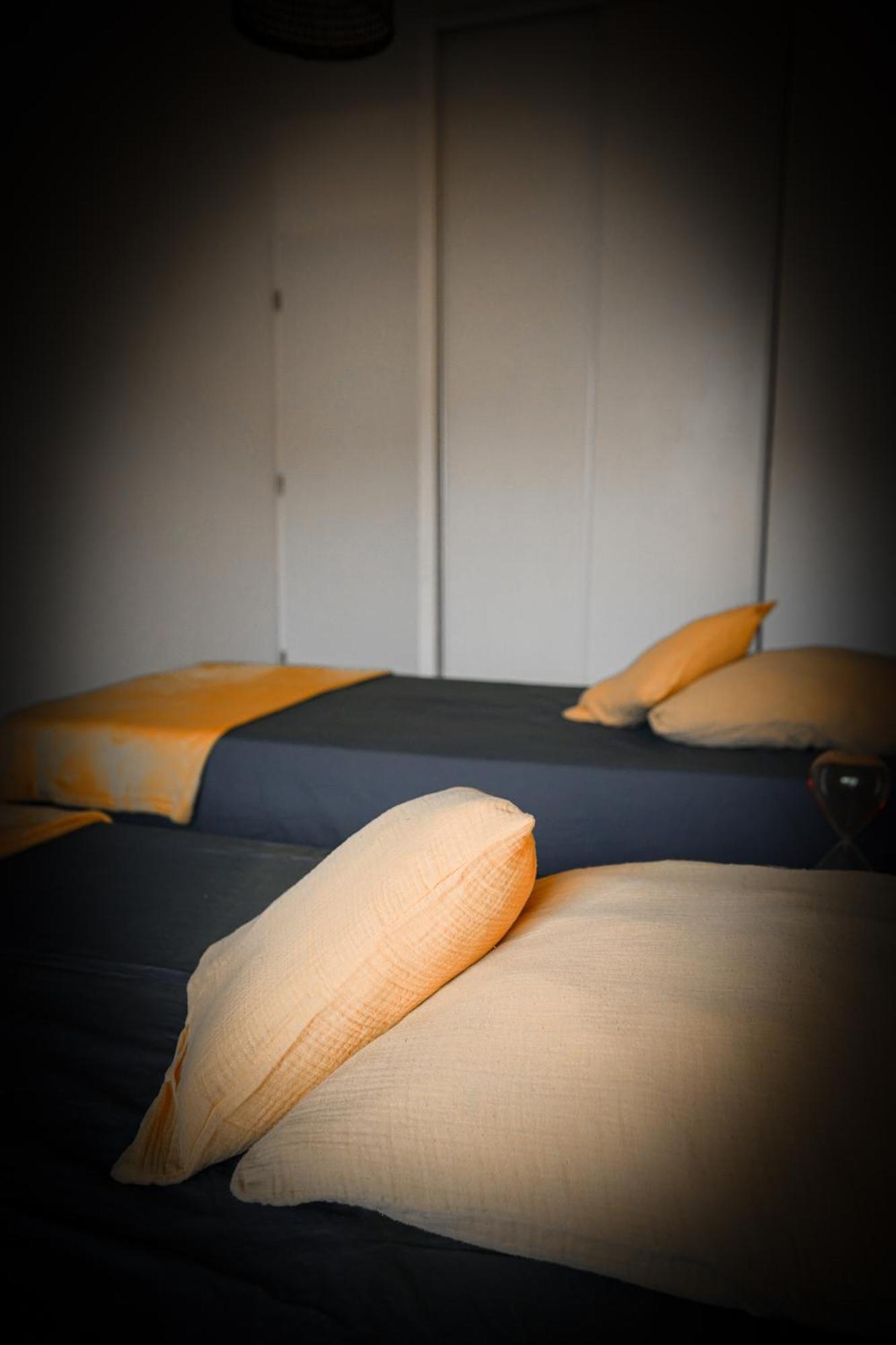 Bel Appartement Climatise & Parking Perpignan Luaran gambar